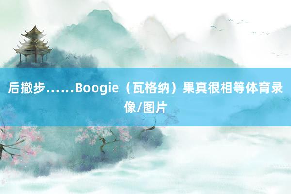 后撤步……Boogie（瓦格纳）果真很相等体育录像/图片