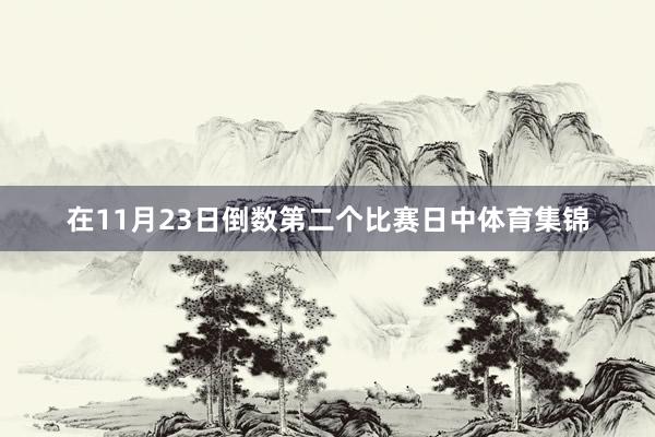 在11月23日倒数第二个比赛日中体育集锦