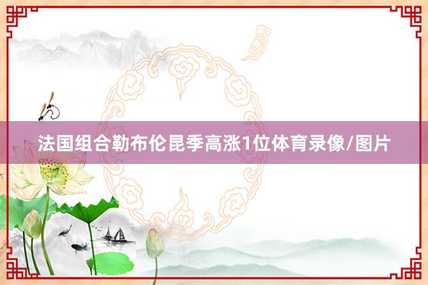 法国组合勒布伦昆季高涨1位体育录像/图片