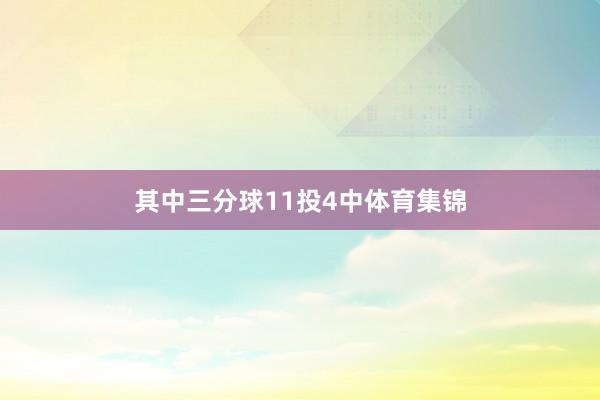 其中三分球11投4中体育集锦